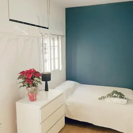 Atico Estudio Con Terraza - Centro