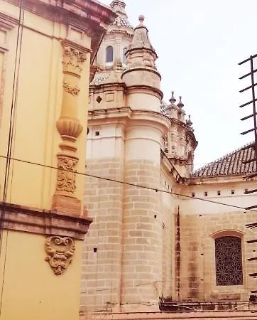 Atico Estudio Con Terraza - Centro
