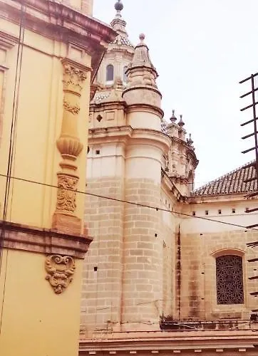 Atico Estudio Con Terraza - Centro